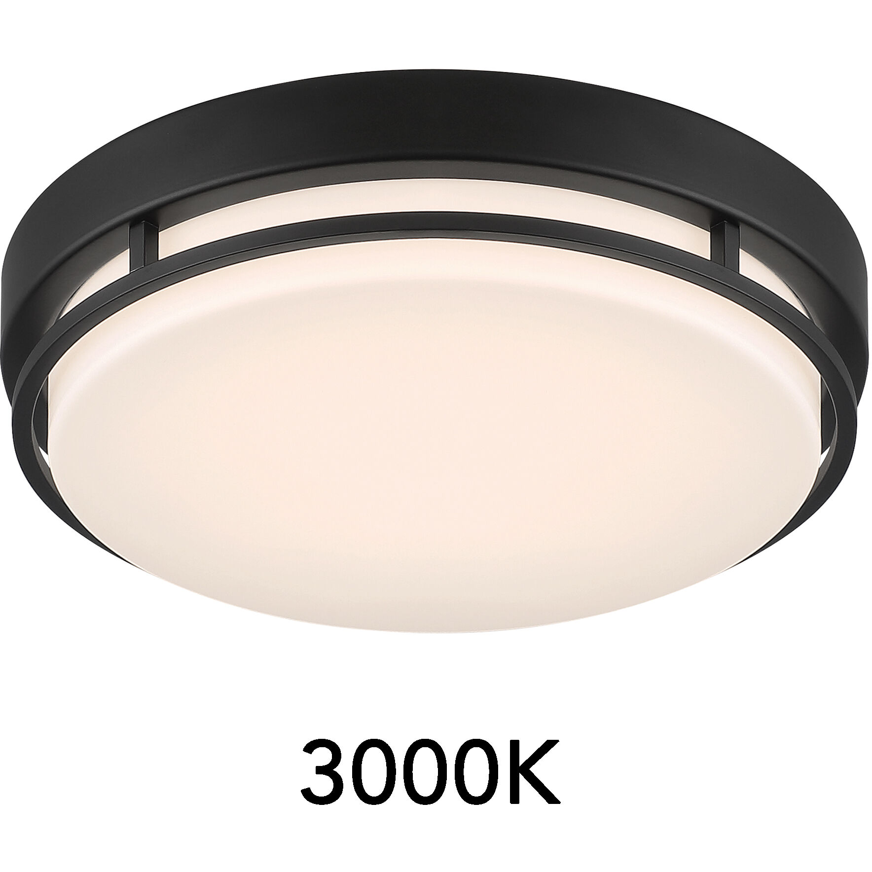 EnviroLite LED 10 inch Matte Black Flush Mount Ceiling Light
